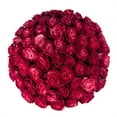 thumbnail image 2 of Member's Mark Farm Fresh Velvet Roses, choose color and stem count, 2 of 8