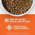 thumbnail image 5 of Member's Mark™ Prime Feast with Chicken + Salmon Dry Cat Food, 25 lbs., 5 of 6