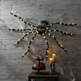 thumbnail image 1 of Member's Mark Oversized Pre-Lit Furry Spider, 1 of 4