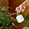 thumbnail image 4 of Modern Sprout Gardening Shears and Glass Plant Mister Set, Assorted Colors, 4 of 5
