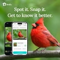 thumbnail image 4 of Birdfy Smart Metal Bird Feeder with Built-in Solar Panel and AI Camera, 4 of 14