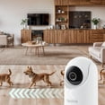 thumbnail image 4 of Reolink E331 2K+ Wi-Fi Pan-Tilt Indoor Camera with Auto-Tracking & Cry Detection, 4 of 11