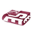 thumbnail image 5 of Logo Brands Florida State Seminoles 60"x70" Super Plush Blanket, 5 of 6