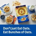 thumbnail image 5 of Honey Bunches of Oats with Crispy Almonds, 48 oz., 5 of 8