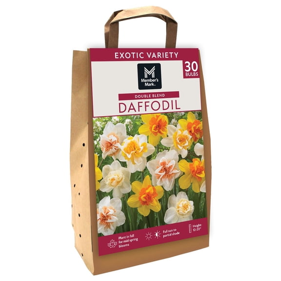 Member's Mark Daffodil Double Blend Dormant Bulbs, 30pk