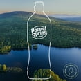 thumbnail image 5 of Poland Spring 100% Natural Spring Water, 700 ml., 24 pk., 5 of 13