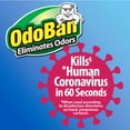 thumbnail image 10 of OdoBan Disinfectant & Odor Eliminator, Eucalyptus 1 gal. concentrate + 32 oz. Ready-to-Use Spray, 10 of 10
