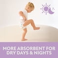 thumbnail image 7 of Member's Mark Premium Baby Diapers, Sizes Newborn - 8, 7 of 16