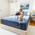 thumbnail image 5 of Serta Classic Plus Heather Ridge Pillow Top Mattress (Available in Medium and Plush), 5 of 11