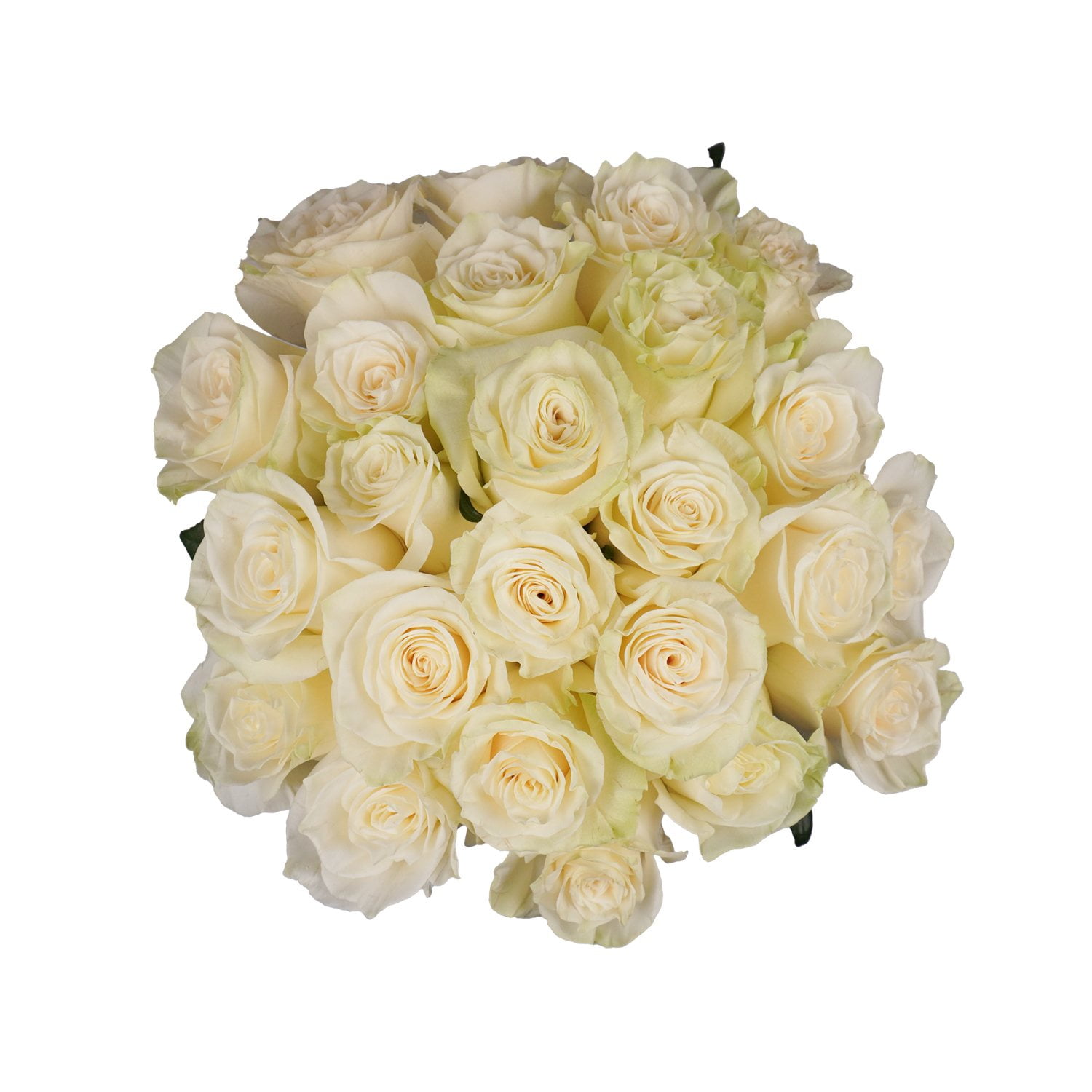 Member's Mark Premium Double Dozen Rose, 24 stems - Samsclub.com