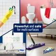 thumbnail image 5 of Fabuloso 2X Concentrated Multi-Purpose Cleaner, Lavender 210 fl. oz., 5 of 7