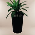 thumbnail image 2 of Artificial 6' Dracaena Tree in a Black Metal Planter, 2 of 5