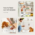 thumbnail image 8 of Freshpet Complete Nutrition Chicken Recipe Fresh Dog Food, 1.5 lb Rolls, 6 ct., 8 of 9