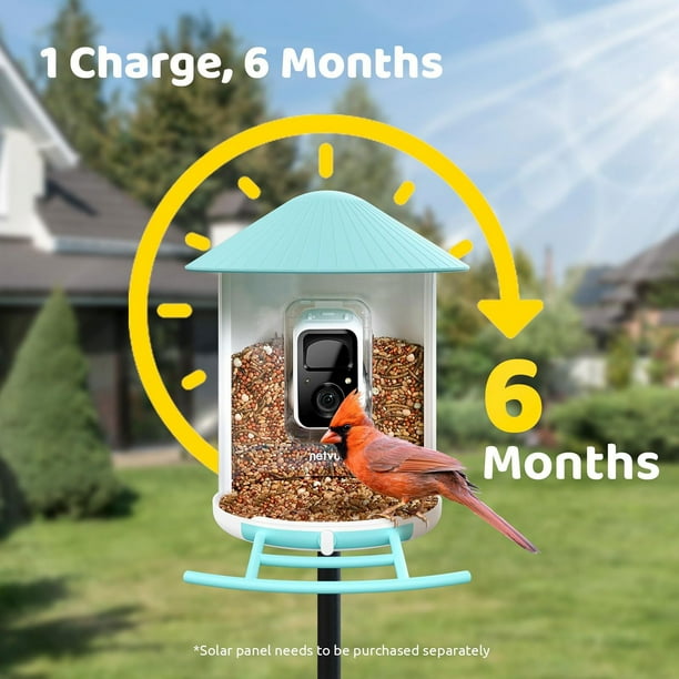 Birdfy Standard Smart Bird Feeder