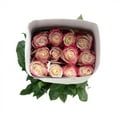 thumbnail image 7 of Member's Mark Ecuadorian Premium Roses, choose color variety and stem count, 7 of 9