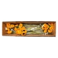 thumbnail image 6 of Member's Mark Sunflowers, choose quantity, 6 of 6