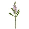 thumbnail image 4 of Member's Mark Stock, 100 stems, choose color, 4 of 7