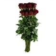 thumbnail image 4 of Member's Mark Ecuadorian Premium Roses, choose color variety and stem count, 4 of 9