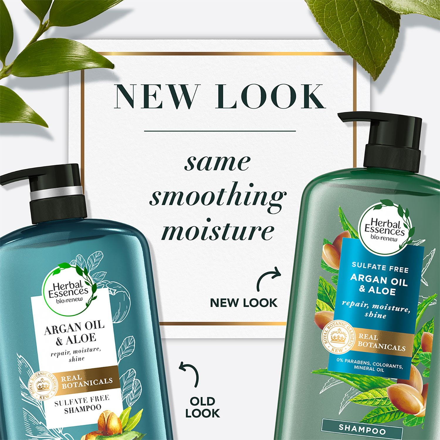 aloe vera as a moisturizer Aloe Vera Blemish Soothing Moisturizer