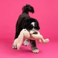 thumbnail image 5 of Jumbo Plush Bunny Dog Toy with TPR Ball & Rope, 5 of 5