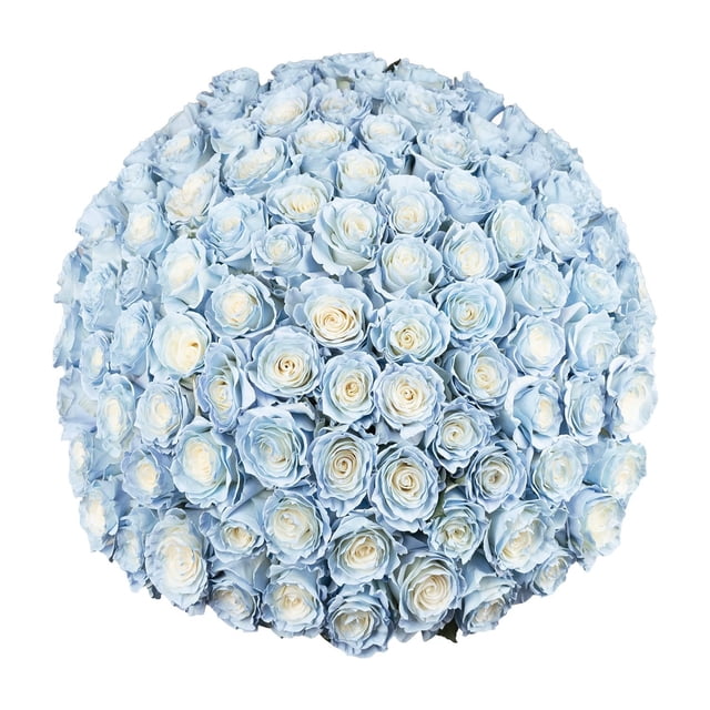 Member's Mark Illusion Roses, choose color and stem count:- 100, Light Blue