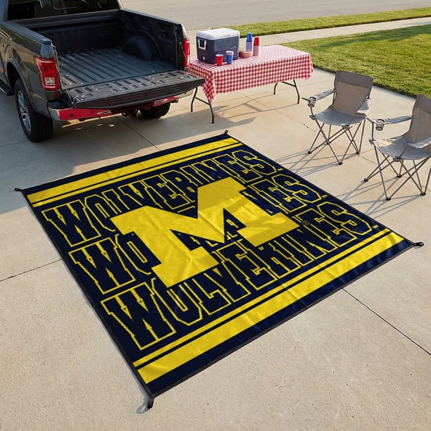 ★アメリカ軍＊第１０ＳＦ＊トロイの木馬スポーツパラシュートクラブ徽章（実物） Logo Brands Michigan Wolverines 106
