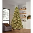 thumbnail image 1 of Member's Mark 9' Fraser Fir Downswept Pre-Lit Christmas Tree, 1 of 11