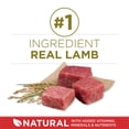 thumbnail image 2 of Purina ONE SmartBlend Natural Lamb and Rice, Adult Dry Dog Food, 44 lbs., 2 of 10