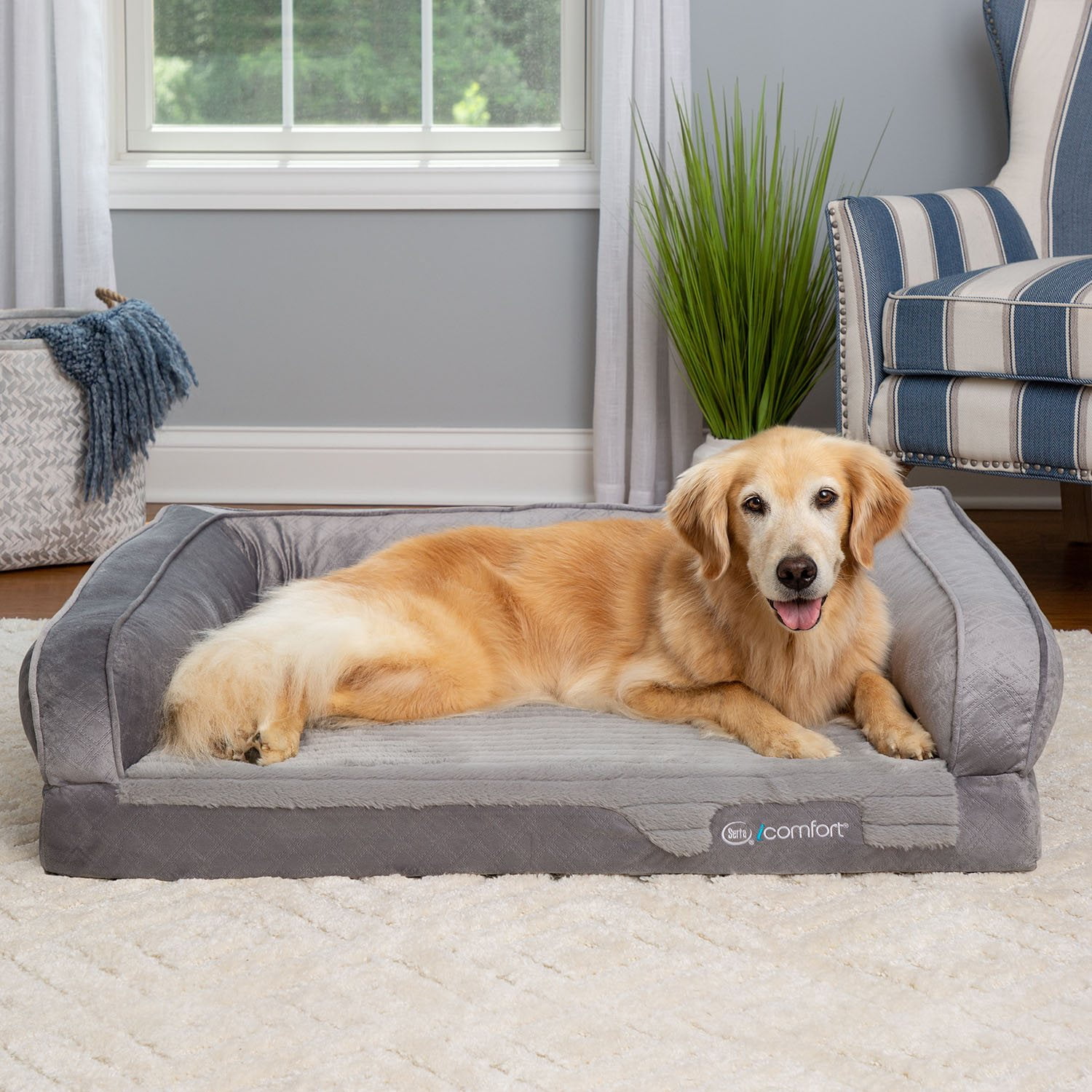 iComfort XL Couch Premium Pet Bed, 44