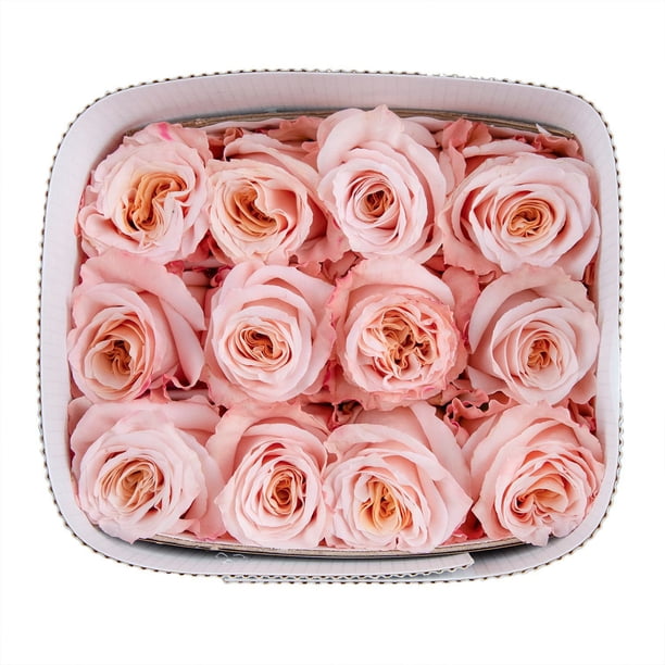 Member's Mark Ecuadorian Premium Roses, choose color variety and