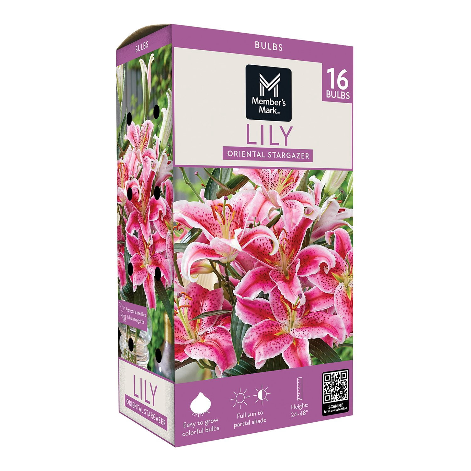 Lily様オーダー Van Zyverden Lily Oriental Mix, Dormant Bulb, Partial Sun, Multi