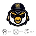 thumbnail image 4 of Logo Brands Kennesaw State Owls Puff Pillow, 4 of 5