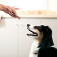 thumbnail image 7 of Milk-Bone, Chicken Recipe, Soft & Chewy Dog Snacks, 37 oz., 7 of 8