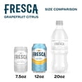 thumbnail image 6 of Fresca Sparkling Soda Water, Grapefruit Citrus, 12 fl. oz., 24 pk., 6 of 9