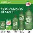 thumbnail image 4 of Canada Dry Ginger Ale Soda 12 fl. oz., 35 pk., 4 of 11