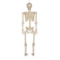 thumbnail image 8 of Member's Mark Talking Skeletons, Set of 2, 8 of 9