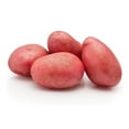 thumbnail image 4 of Red Potatoes, 10 lbs., 4 of 6