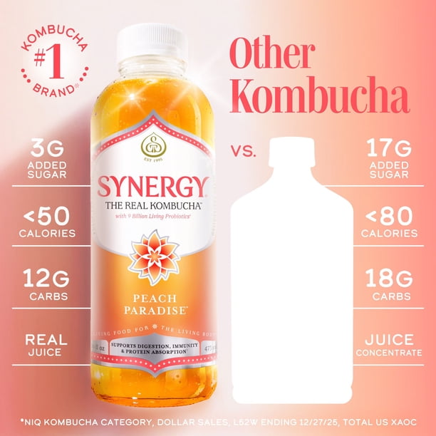SYNERGY The Real Kombucha, Peach Paradise, 16 fl. oz., 6 pk