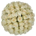 thumbnail image 1 of Member's Mark Roses, choose color variety and stem count, 1 of 7