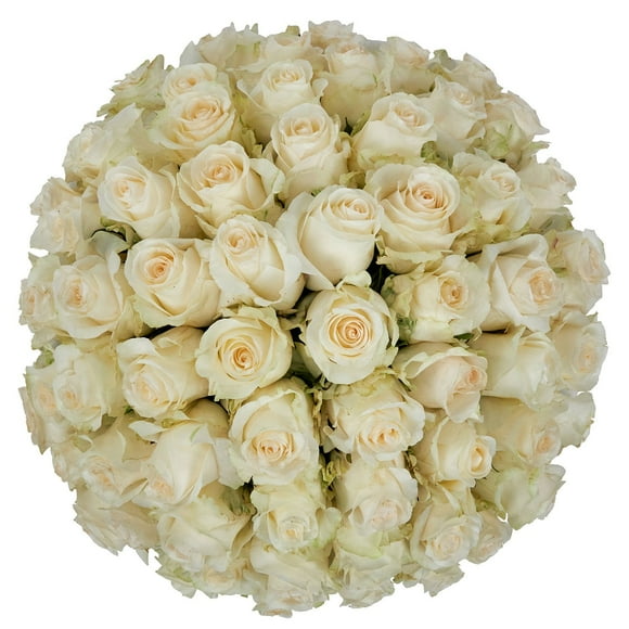 Member's Mark Roses, choose color variety and stem count