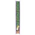 thumbnail image 3 of Special Edition - The Secret Garden by Frances Hodgson Burnett, Hardcover, 3 of 3