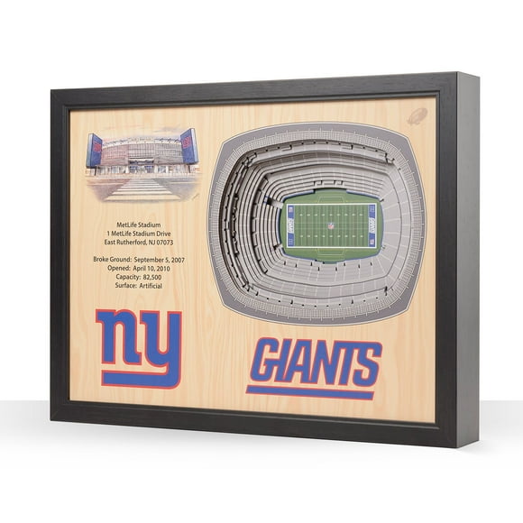 YouTheFan NFL 25.5" x 19.5" 25-Layer Stadium View 3D Wall Art