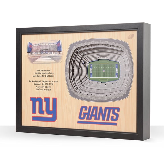 YouTheFan NFL 25.5" x 19.5" 25-Layer Stadium View 3D Wall Art