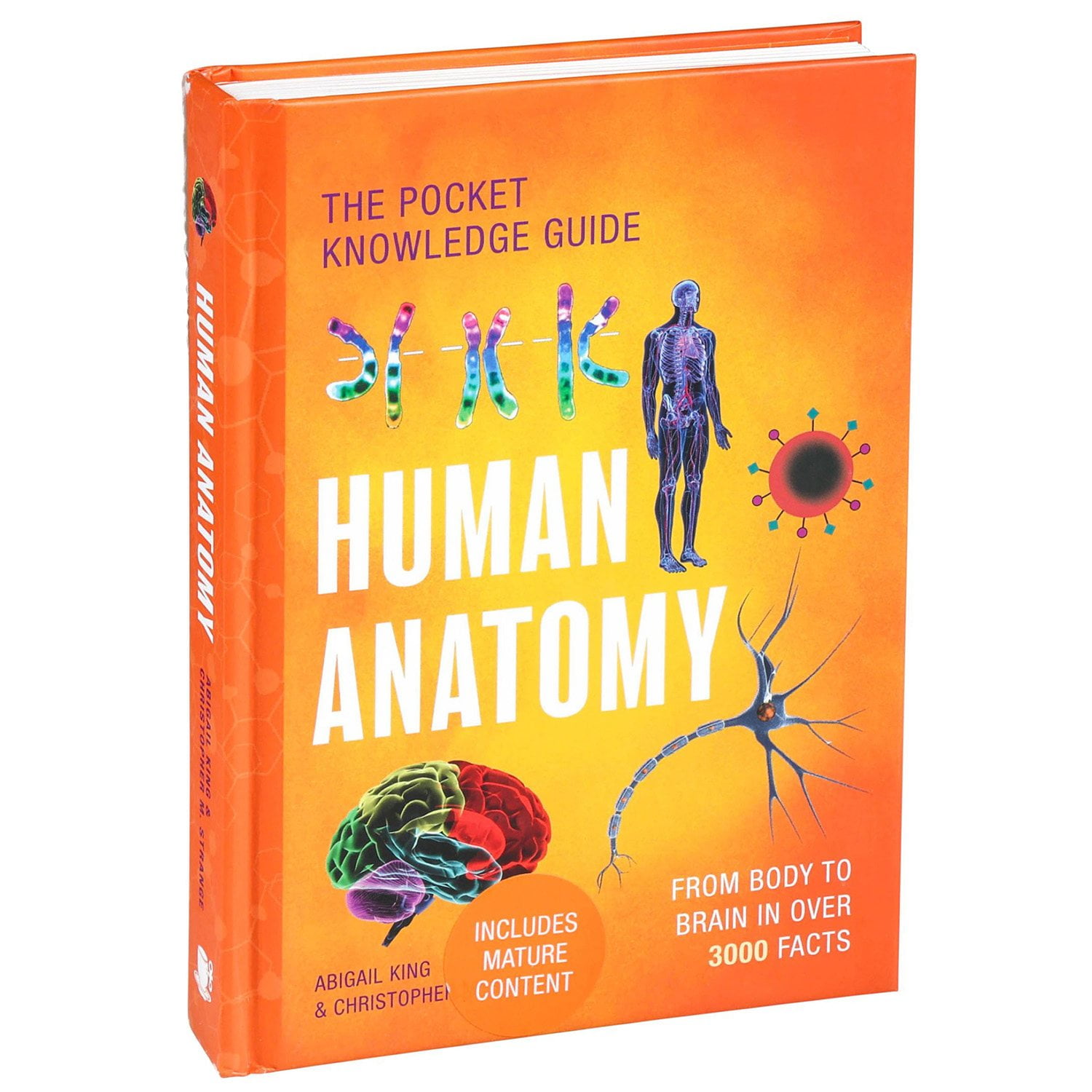 The Pocket Knowledge Guide: Human Anatomy, Hardcover, image size:1500x1500