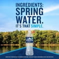 thumbnail image 3 of Ice Mountain 100% Natural Spring Water 700 mL, 24 pk., 3 of 10