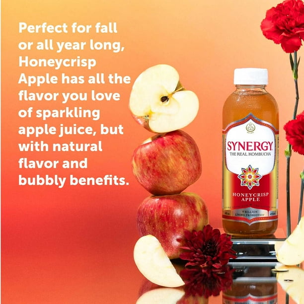 SYNERGY The Real Kombucha, Honeycrisp Apple, 16 fl. oz., 6 pk