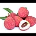 thumbnail image 5 of Fresh Lychee, 1.5 lbs., 5 of 7