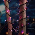 thumbnail image 1 of Member's Mark 100ct Dual Color Mini LED Lights, 22.3' Lighted Length, 1 of 5