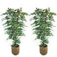 thumbnail image 1 of Faux 7.5' Ficus Tree in Handwoven Basket, 2pk, 1 of 3
