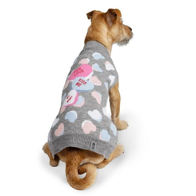 Free Country Valentine Doggy Sweater